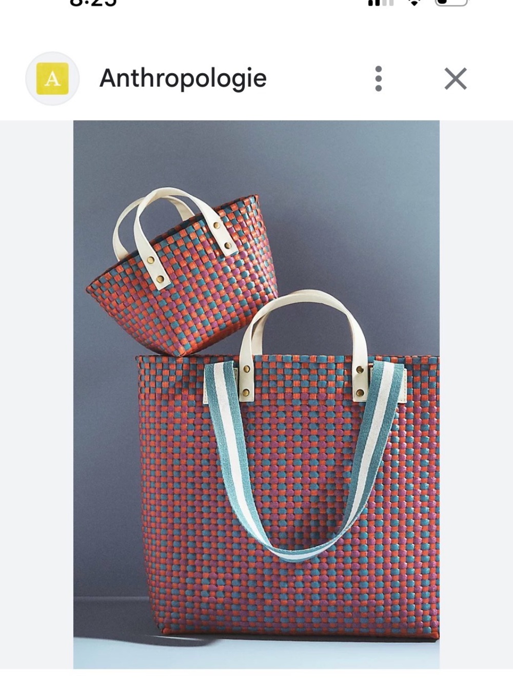Anthropologie Woven Tote with mini tote